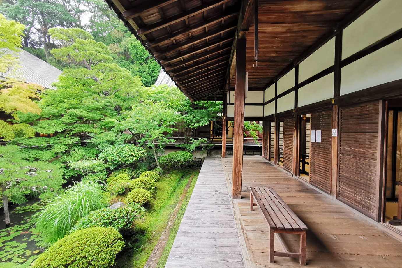 京都-永觀堂(禪林寺)